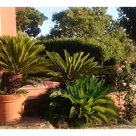 La Casa Di Lili Grottaferrata